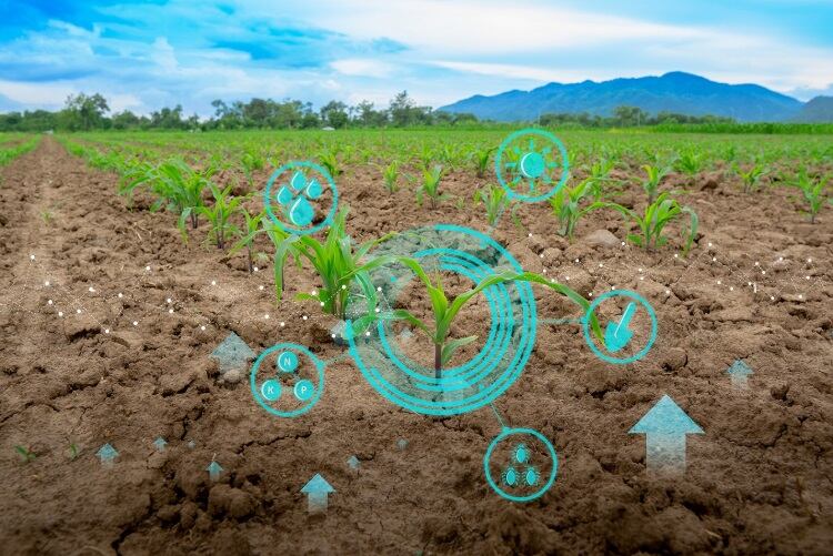 ICL Group launches hub to fast-track food and agriTech innovation to market