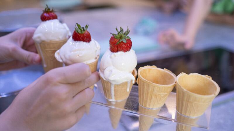 Freeze in the Middle East! Major opportunities for frozen snacks growth if cold chain challenges can be met