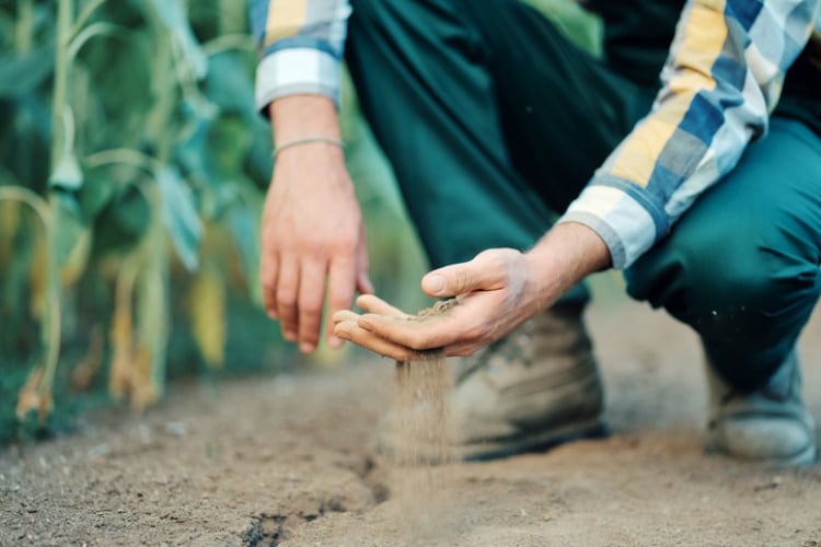 Dry-cracked-soil-Getty-YorVen.jpg