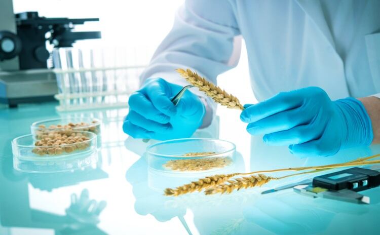 Advanced-safety-testing-and-analysis-supports-the-development-of-clean-label-grain-based-innovation.jpg