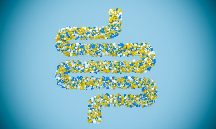 ‘Stability and flexibility benefits’: Gnosis discusses first prebiotics derived from yeast at Asia expo