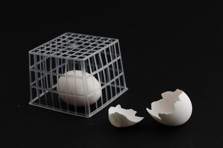Eggs-in-a-cage-dblight.jpg