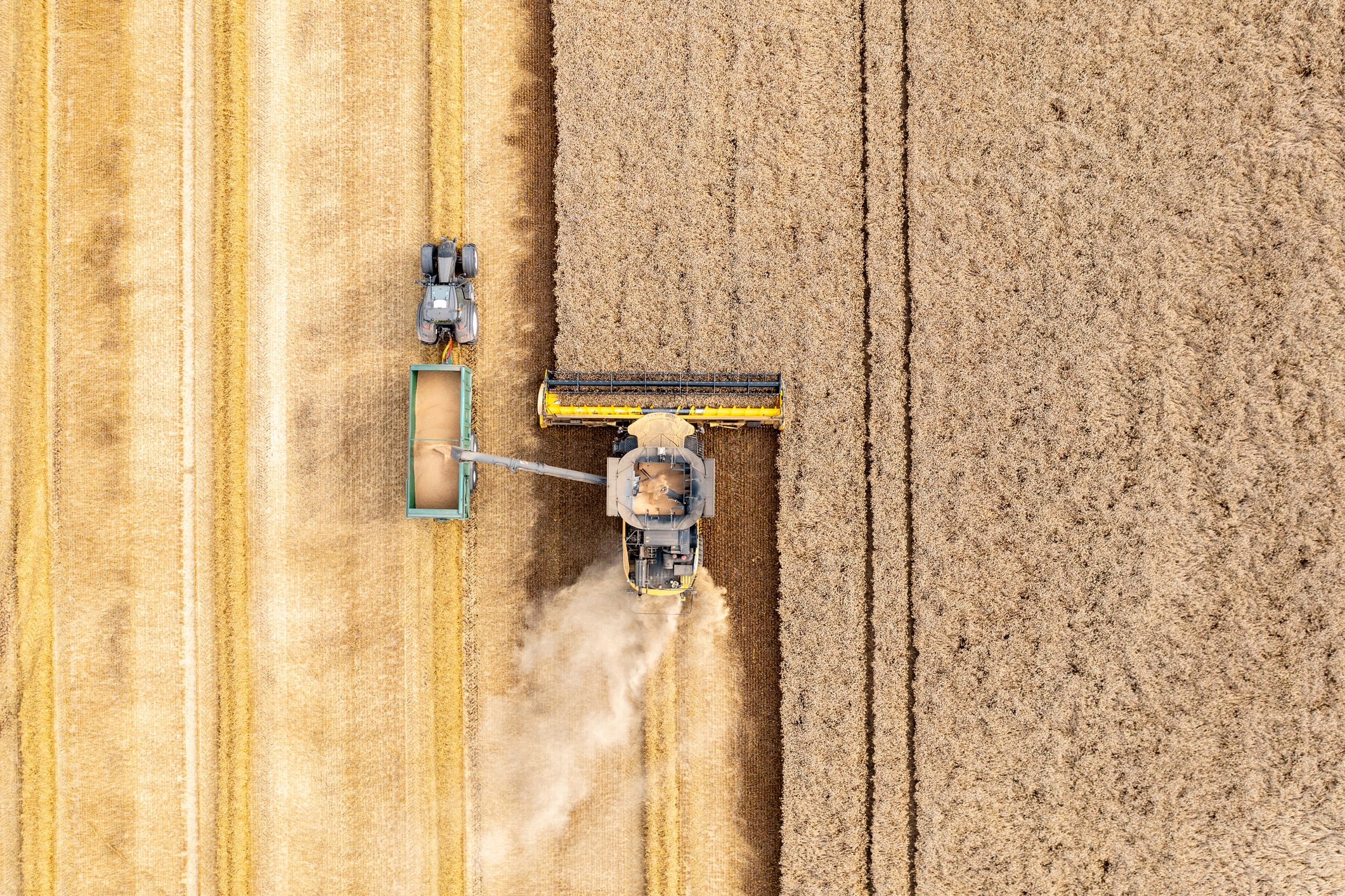 Weetabix recently recorded a 50% reduction in on-farm wheat emissions through its Lower Carbon Wheat Project.