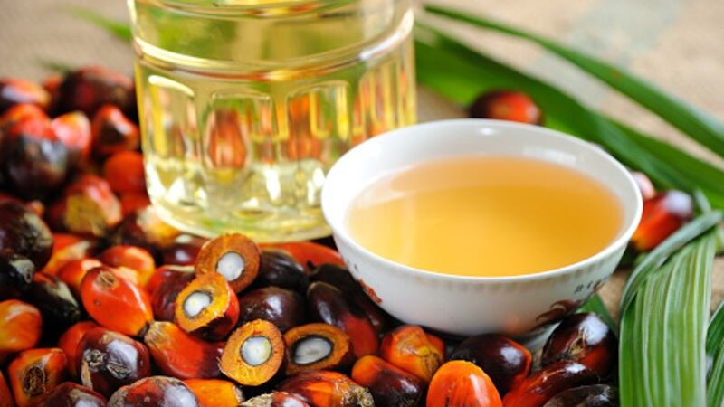 ‘Stop palming us off’: Food firms urged to back national palm oil sustainability schemes in Malaysia and Indonesia