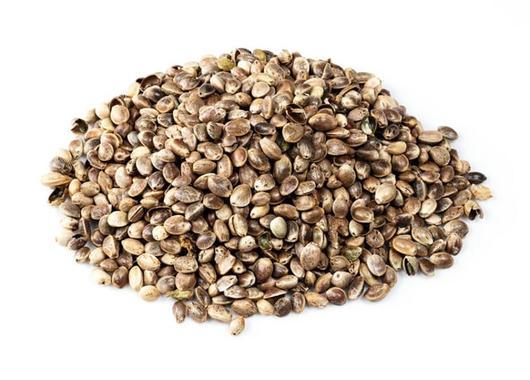 Whole-hemp-seeds-KrimKate.jpg