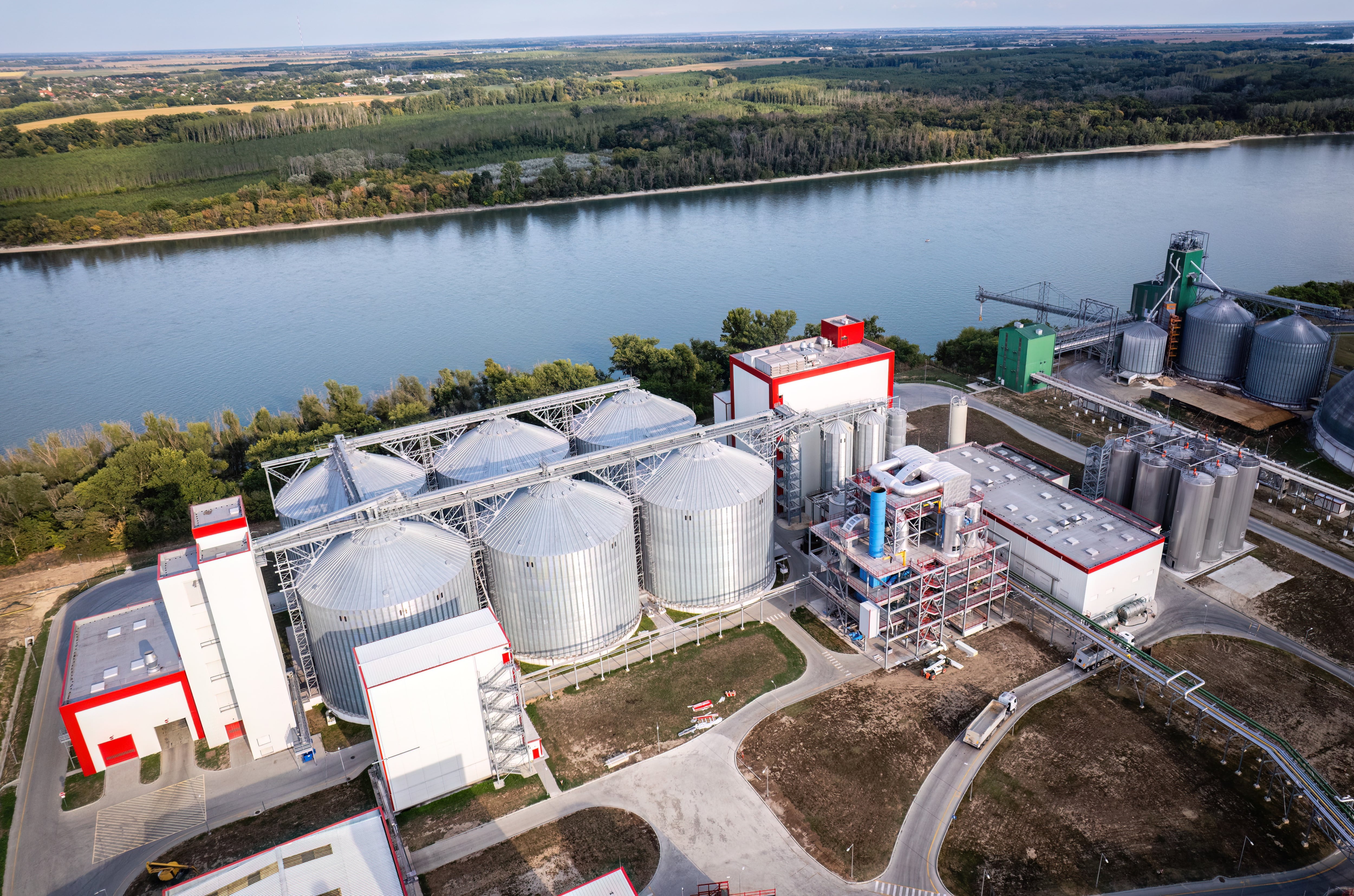 ClonBio plant