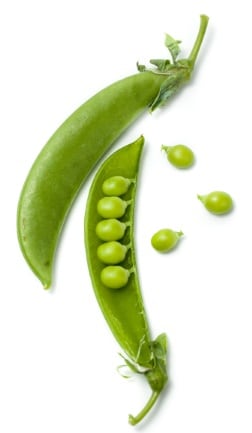 pea-protein-Hemarat.jpg