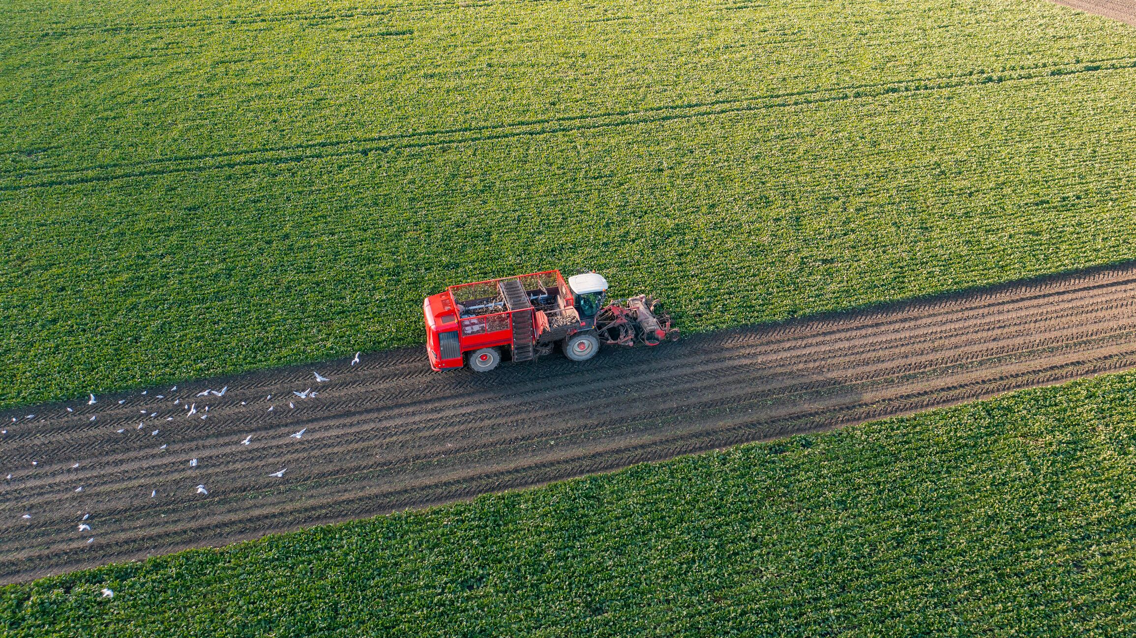 Gen Z comes out in support for gene edited food
