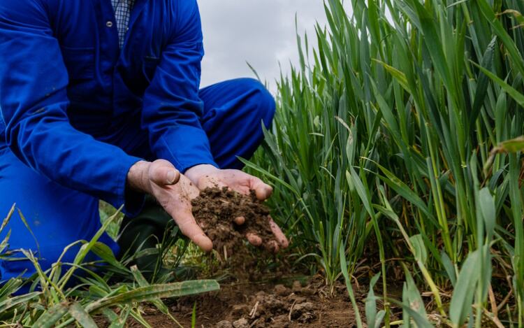 Healthy-soil-SolStock.jpg