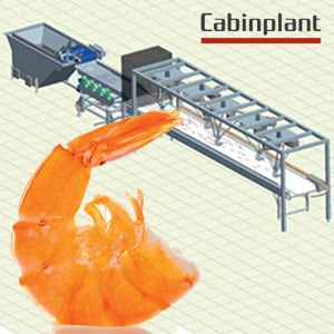 cabinpant.jpg