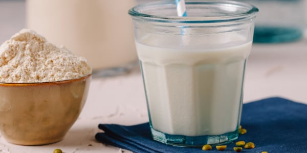 Enriched vegetable milk