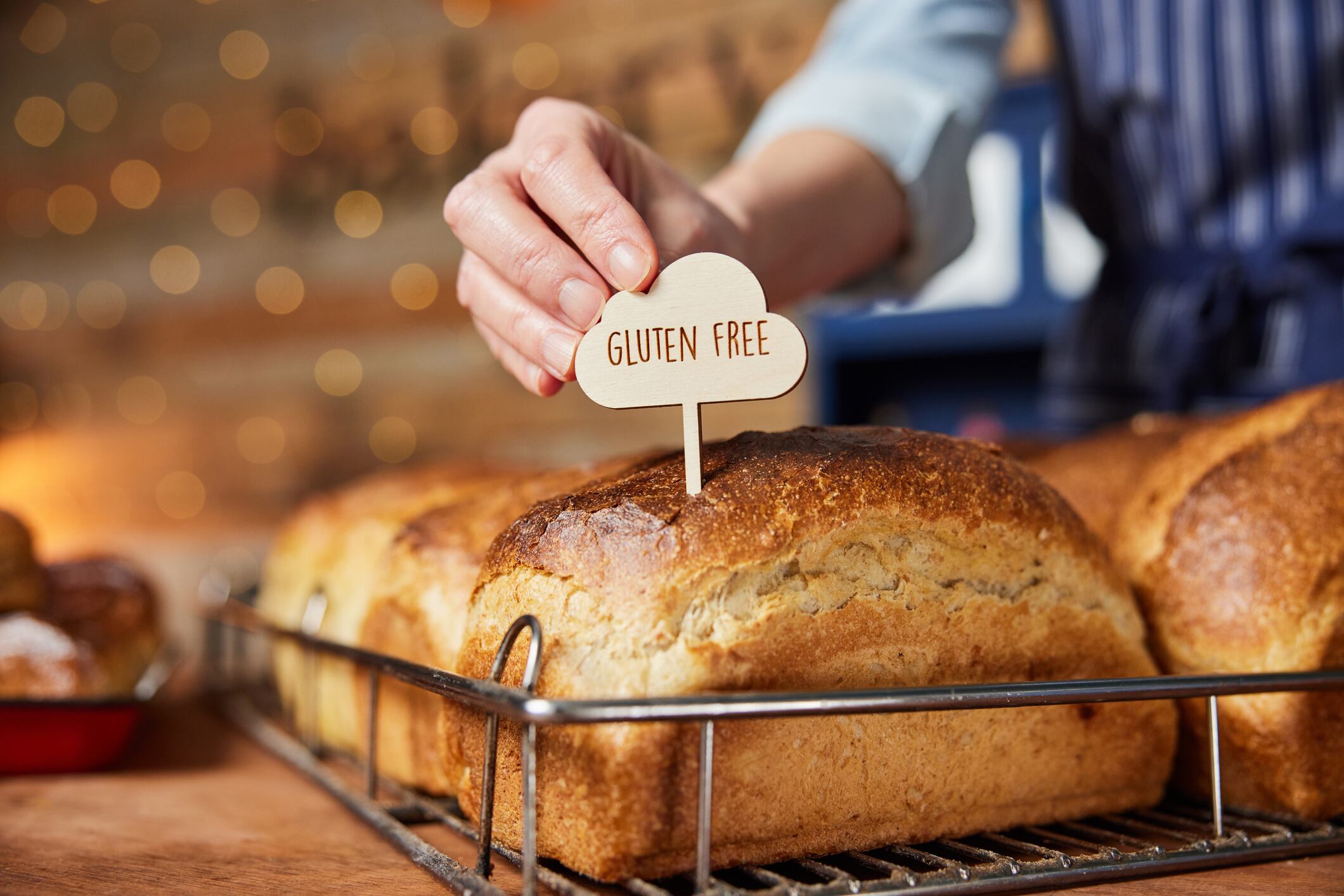 Gluten free bread