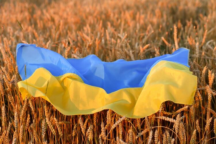 The knock-on effect of Russia’s offensive on global bread supply