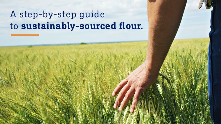 Step-by-step guide to sustainably-sourced flour