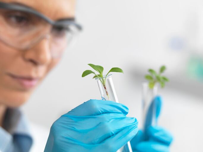R&D is driving Latin American agri-food productivity, says FAO