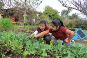 WholeFoods1-Kids-Foundation.jpg
