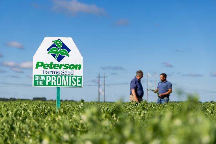 First-of-its-kind collab set to unlock opportunities for high-protein, non-GMO yellow peas
