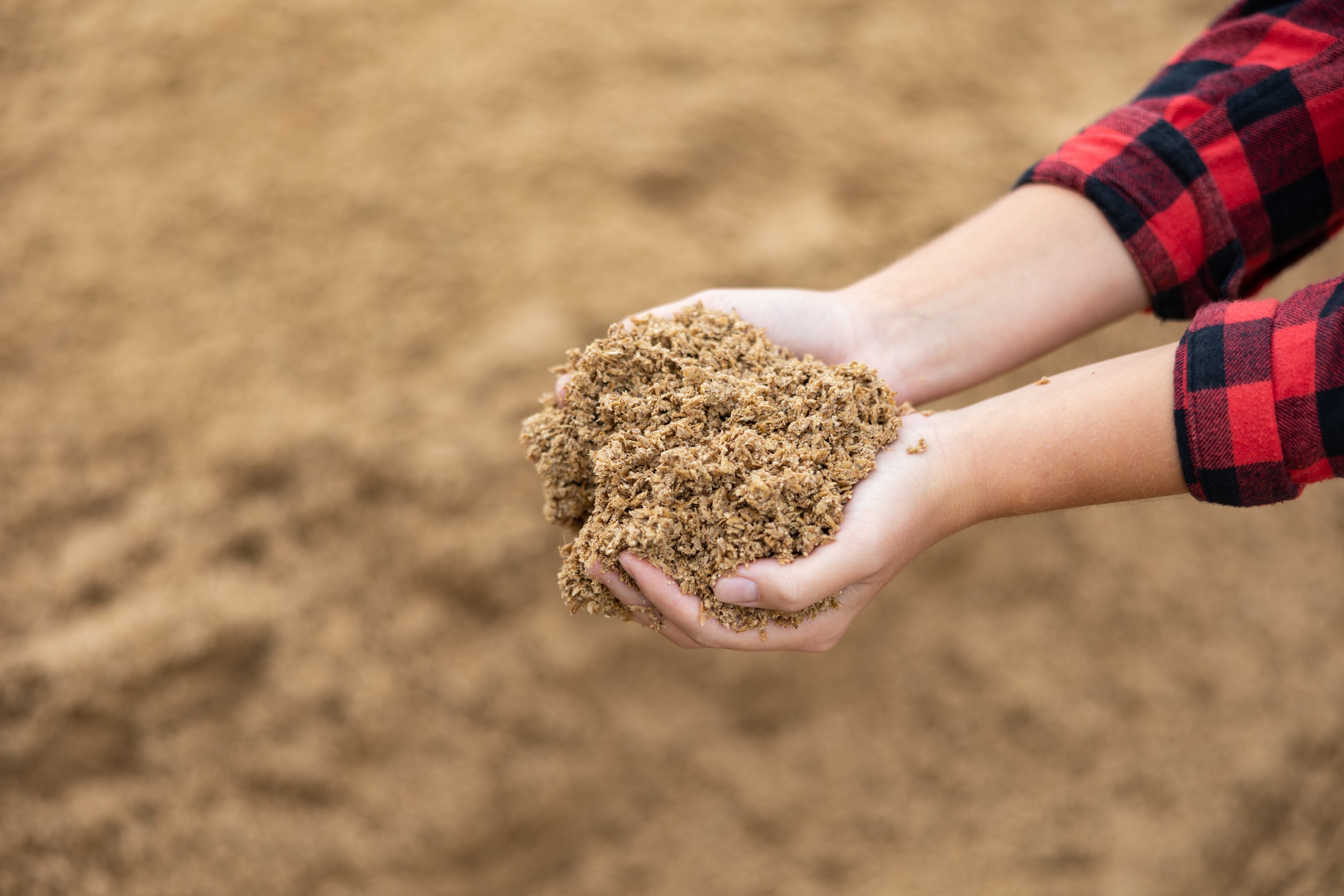 Woman farmer holding pile of brewer's spent grain