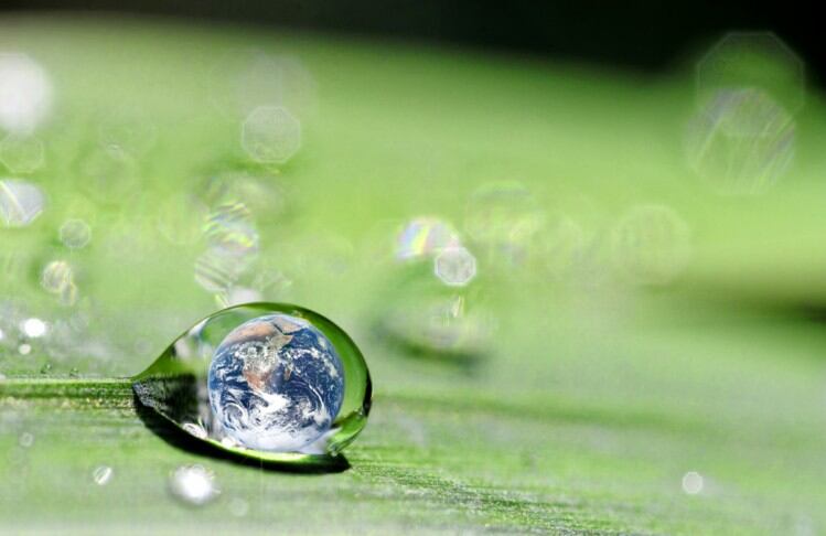 iStock-danymages-environment-green.jpg
