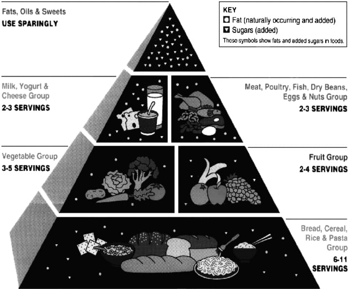 The 1992 Food Guide Pyramid