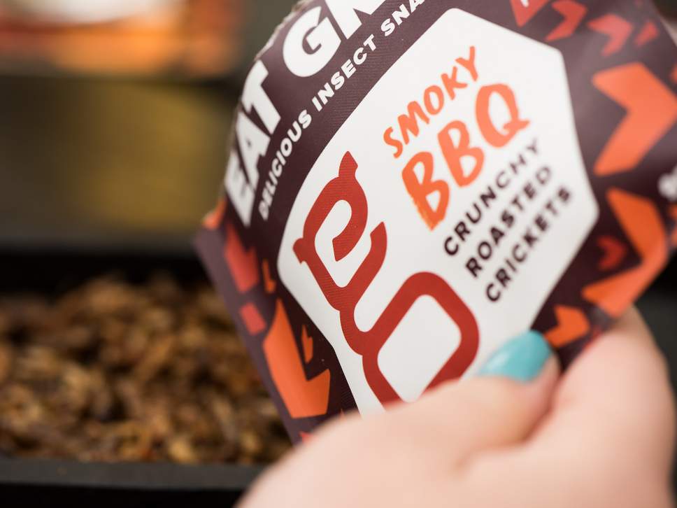eat-grub-crickets4.jpg