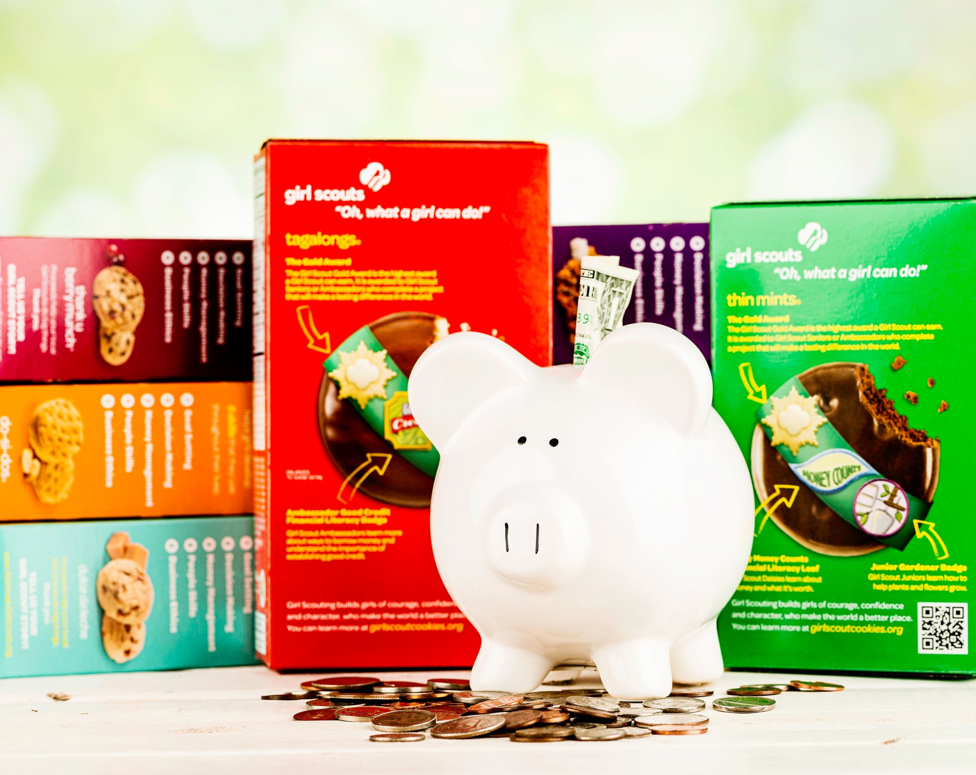 Girl Scout Cookies and piggy bank