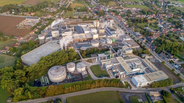 Beneo to ramp up global prebiotic chicory root fibre supply