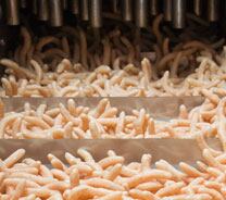 The-expansion-can-be-done-on-a-conveyor-too.jpg