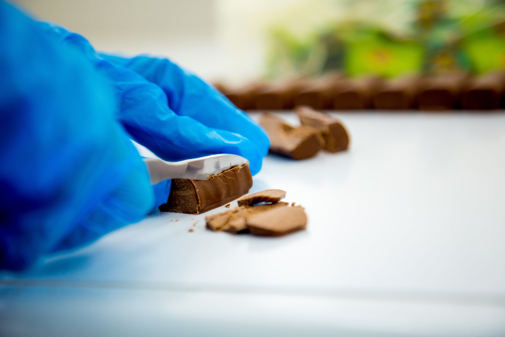 Chocolate quality control sweets with a special knife. Hands of the laboratory assistant in gloves