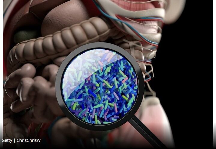 Prebiotic fructans and low-GI carbs can promote gut health, says Beneo