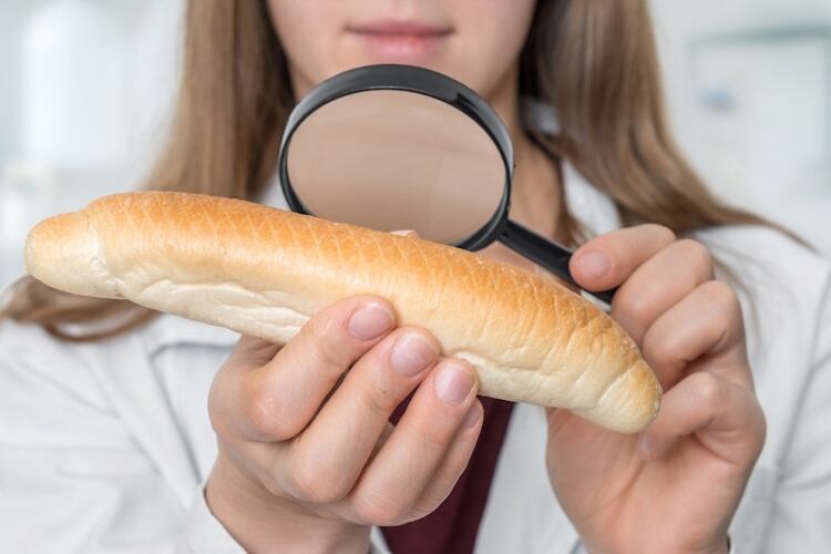 Scientist examines a croissant with magnifying glass