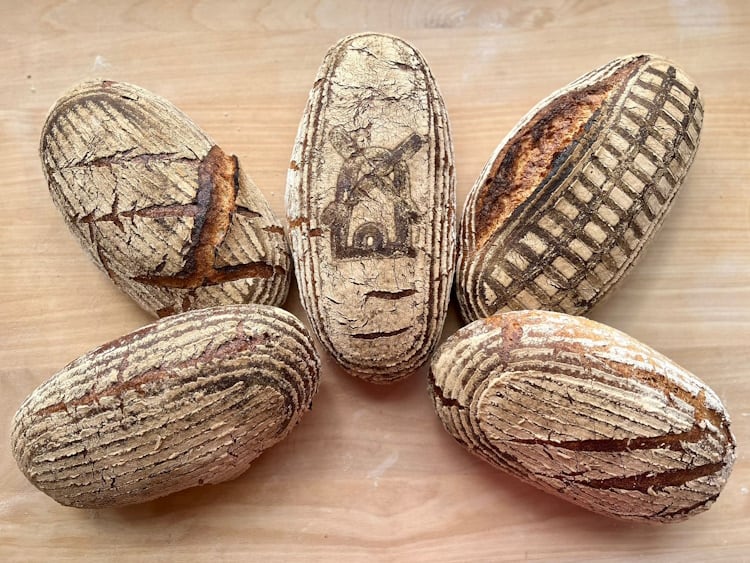 Five hand-scored sourdough loaves, each with its own character, baked by Aleksandra Bednarek.
