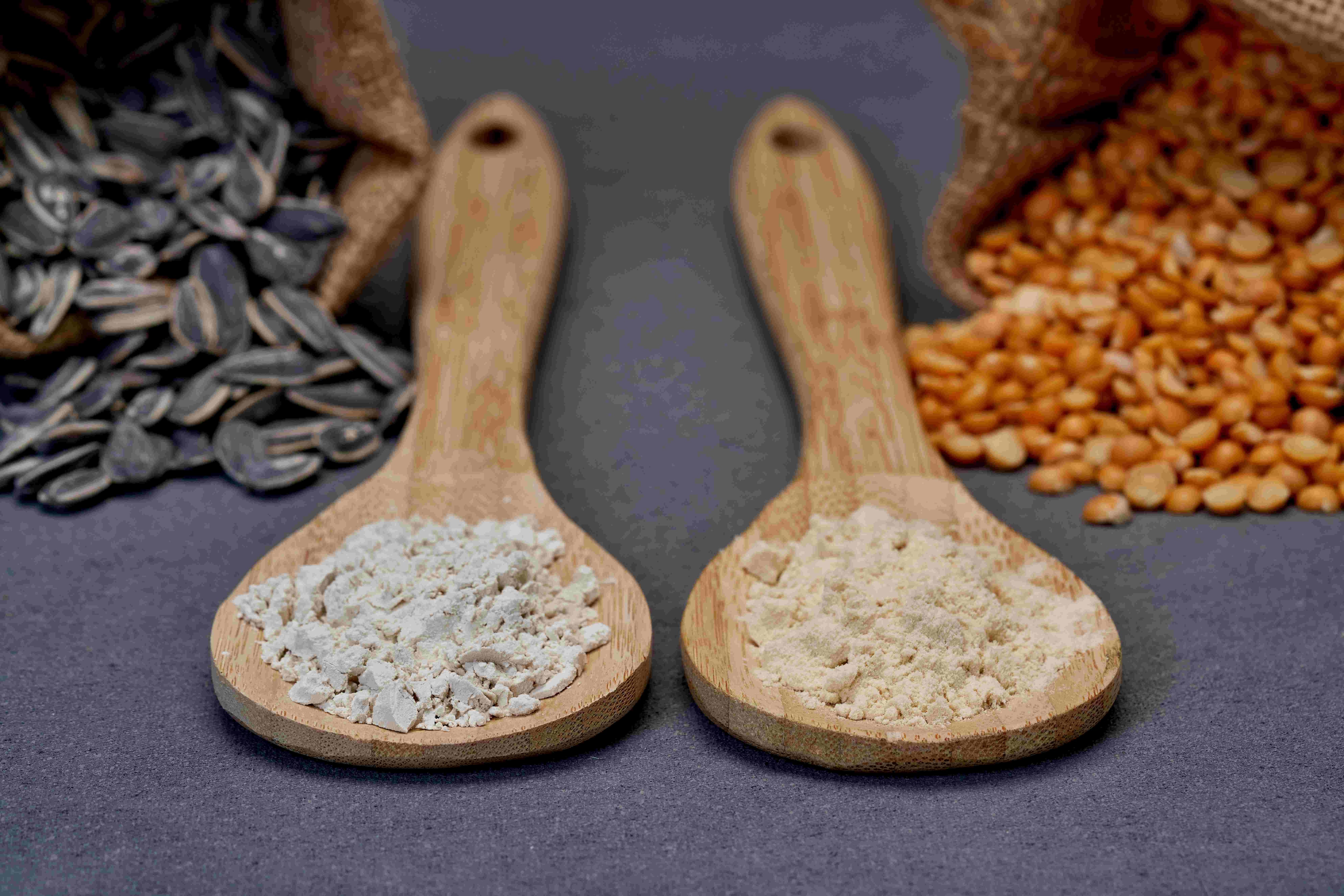 Burcon Solatein sunflower (left) and Peazazz C pea protein isolates