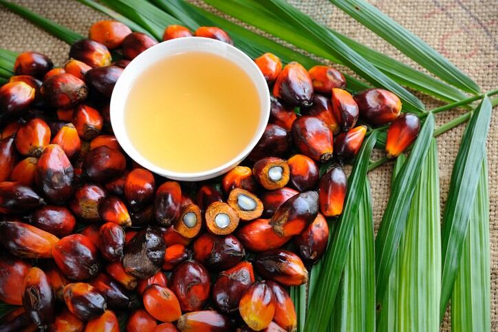 Palm oil traceability: Musim Mas cites mill success but acknowledges smallholder plantation challenges