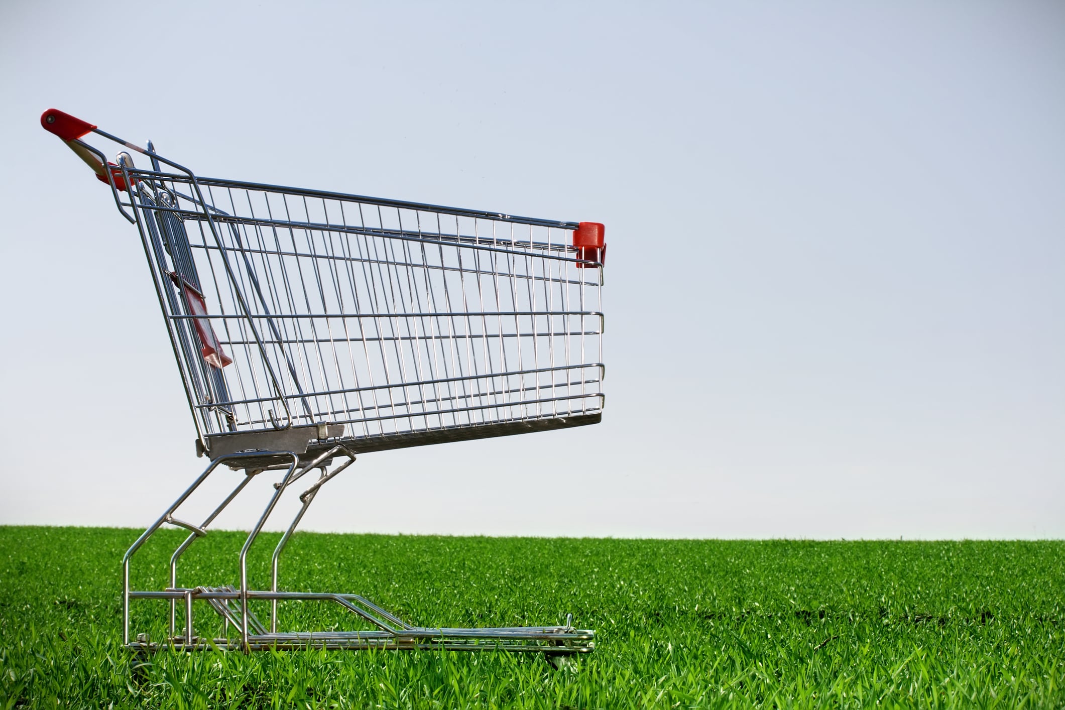 Shopping trolly in a field