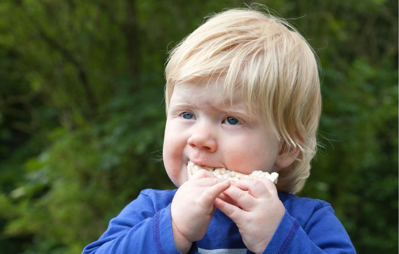 Arsenic snack shock: RMIT study finds almost 75% of children rice snacks exceed EU recommendations