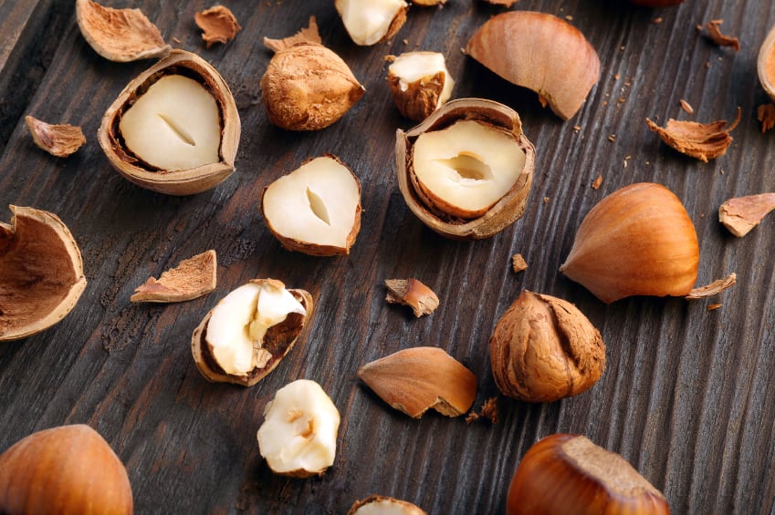 Hazelnut-nuts-wideonet.jpg