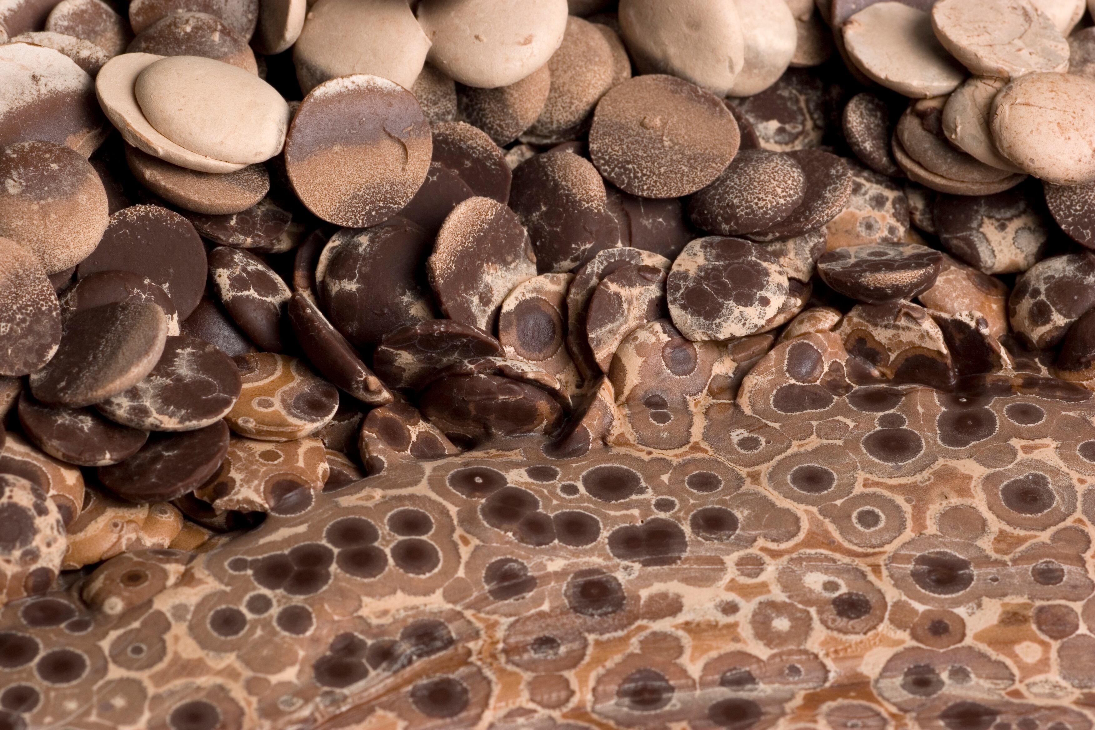Chocolate that has bloomed nbehmans GettyImages