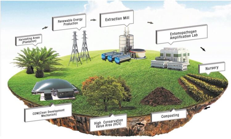 DAABON-Circular-Economy.jpg
