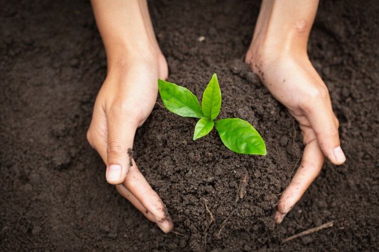 Quinn signs up to the Soil Carbon Initiative