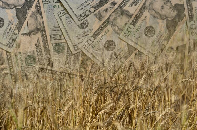 Bakery-and-snacks-accounts-for-15-of-CPG-s-impact-on-US-GDP.jpg
