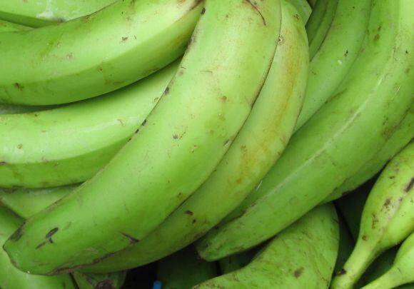 Green-plaintain.jpg