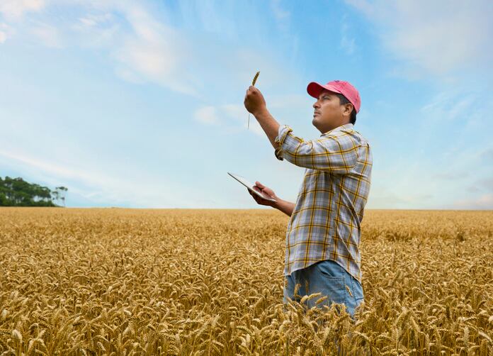 AHA-Heart-Check-validates-HealthSense-High-Fiber-Wheat-Flour-health-benefits.jpg