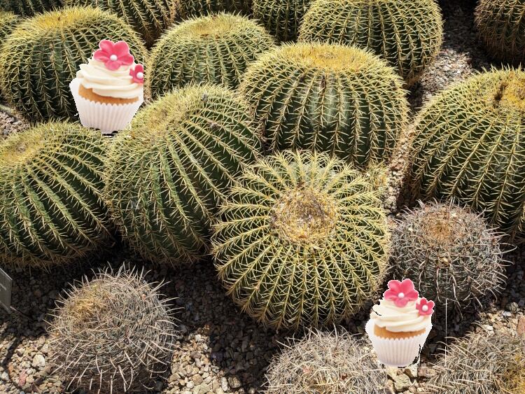 [VIDEO] With an eye on being the fastest growing category in the food industry: How ABA walked the talk in Arizona