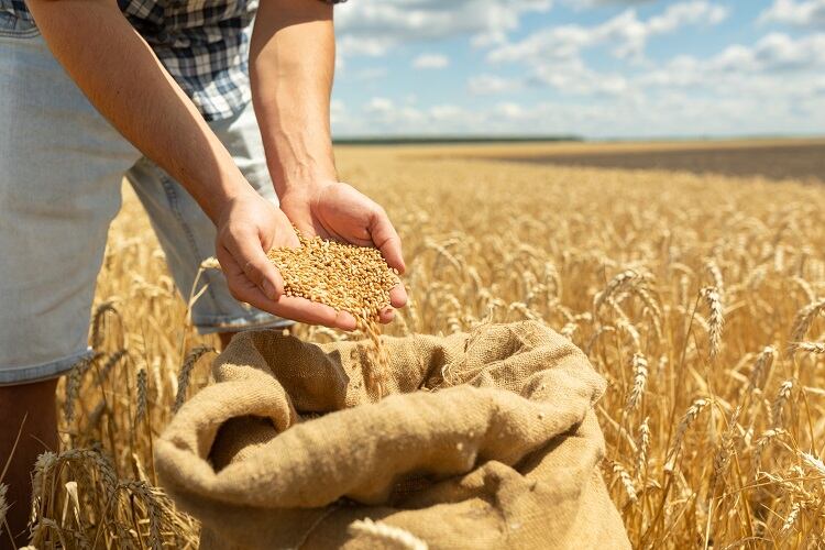 Regenerative agriculture: How manufacturers and farmers are working together