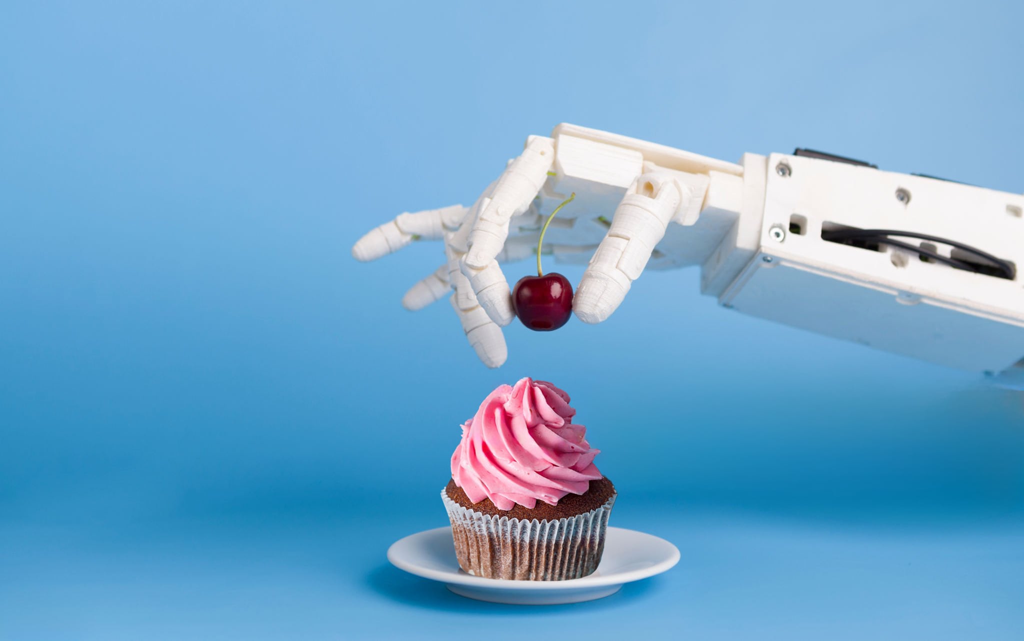 A roboticised hand