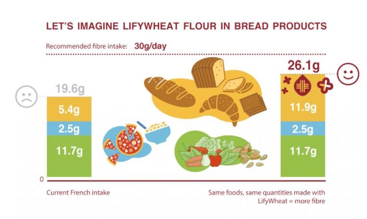 LifyWheat-2.jpg