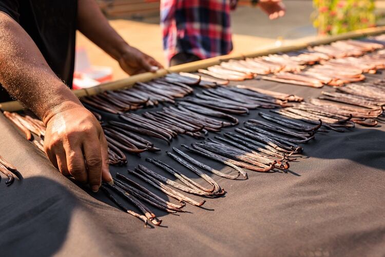 Vanilla-Farmers-GettyImages-DINphotogallery.jpg