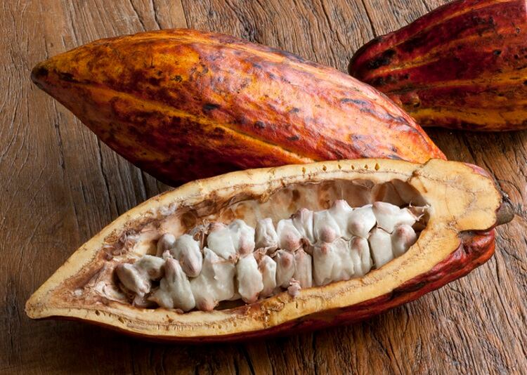 Whole-cacao-snack-reaps-SNAC-Tank-approval-for-its-people-and-planet-friendly-pedigree.jpg