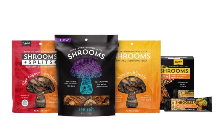 40d014a1-13cf-488a-984c-6021c5d1ad83Shrooms_Group-Lineup-002.jpg